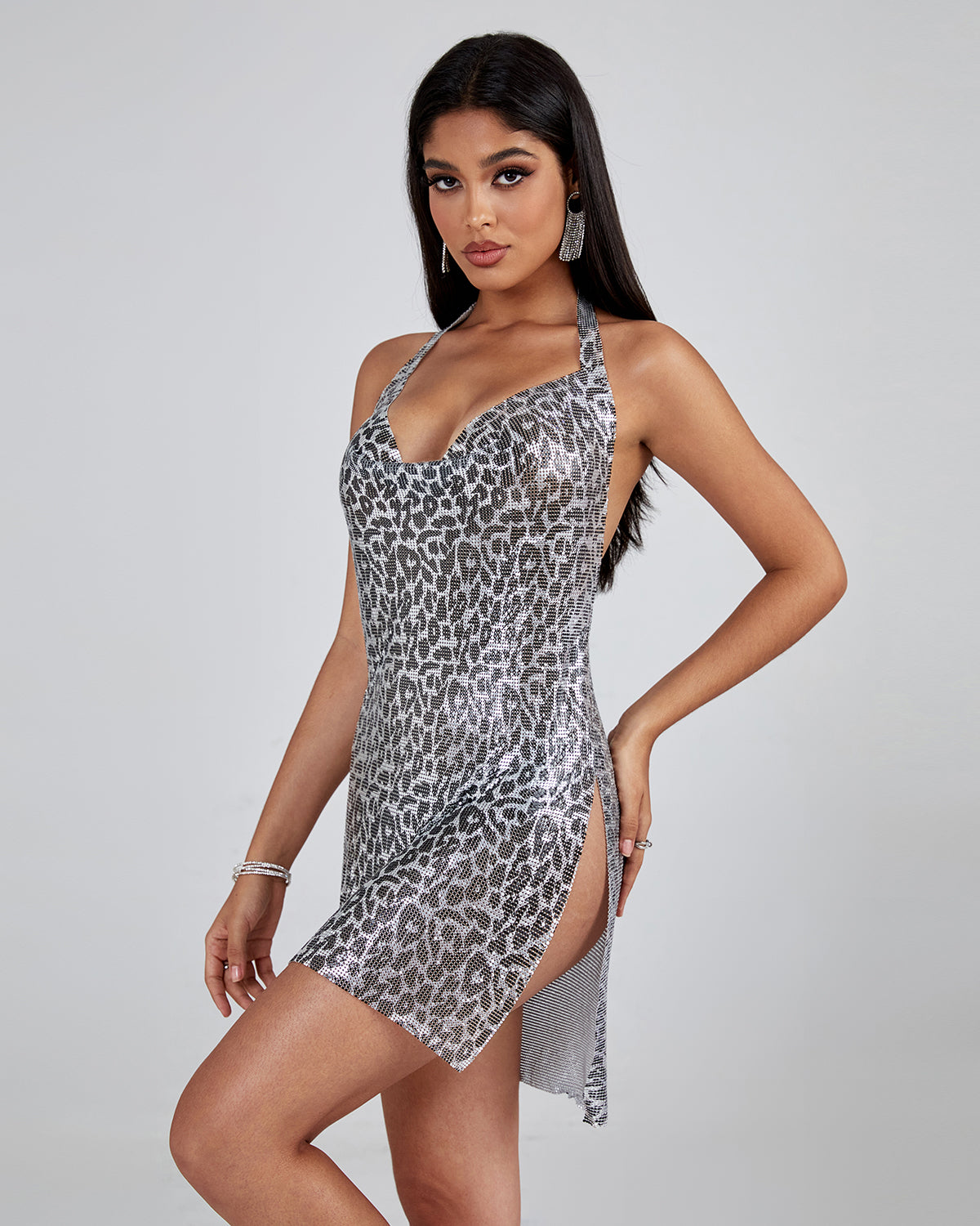 Leopard Metallic Mesh Mini Dress