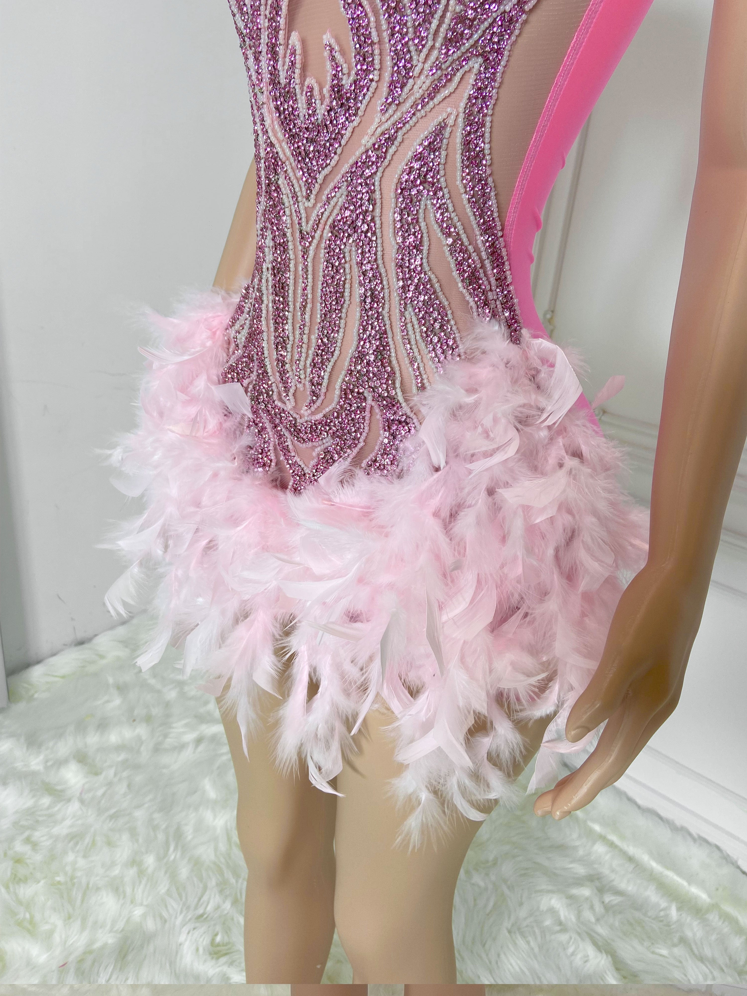 Pink Round Neck Sleeveless with Feather Mini Dress