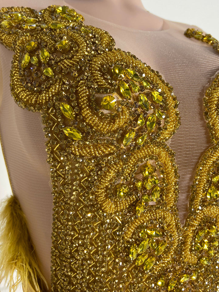 Golden Feathered Dress