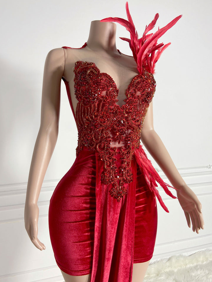 Feathered Sleeveless Mini Dress