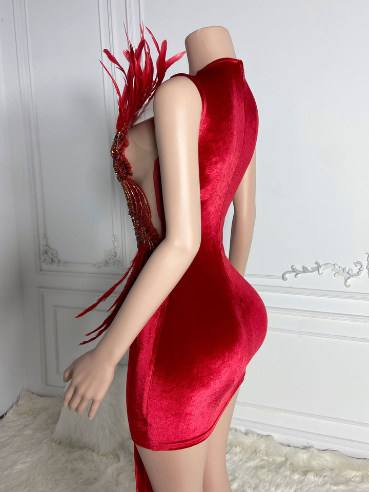 Feathered Sleeveless Mini Dress