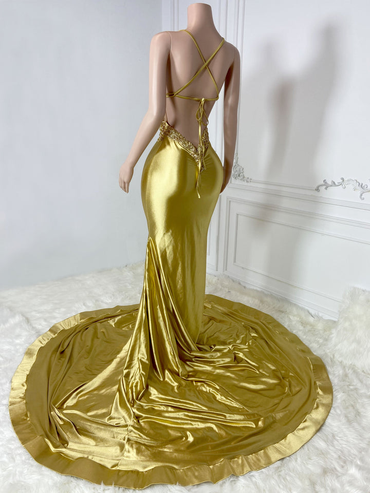 Golden V Neck Elegance Gown