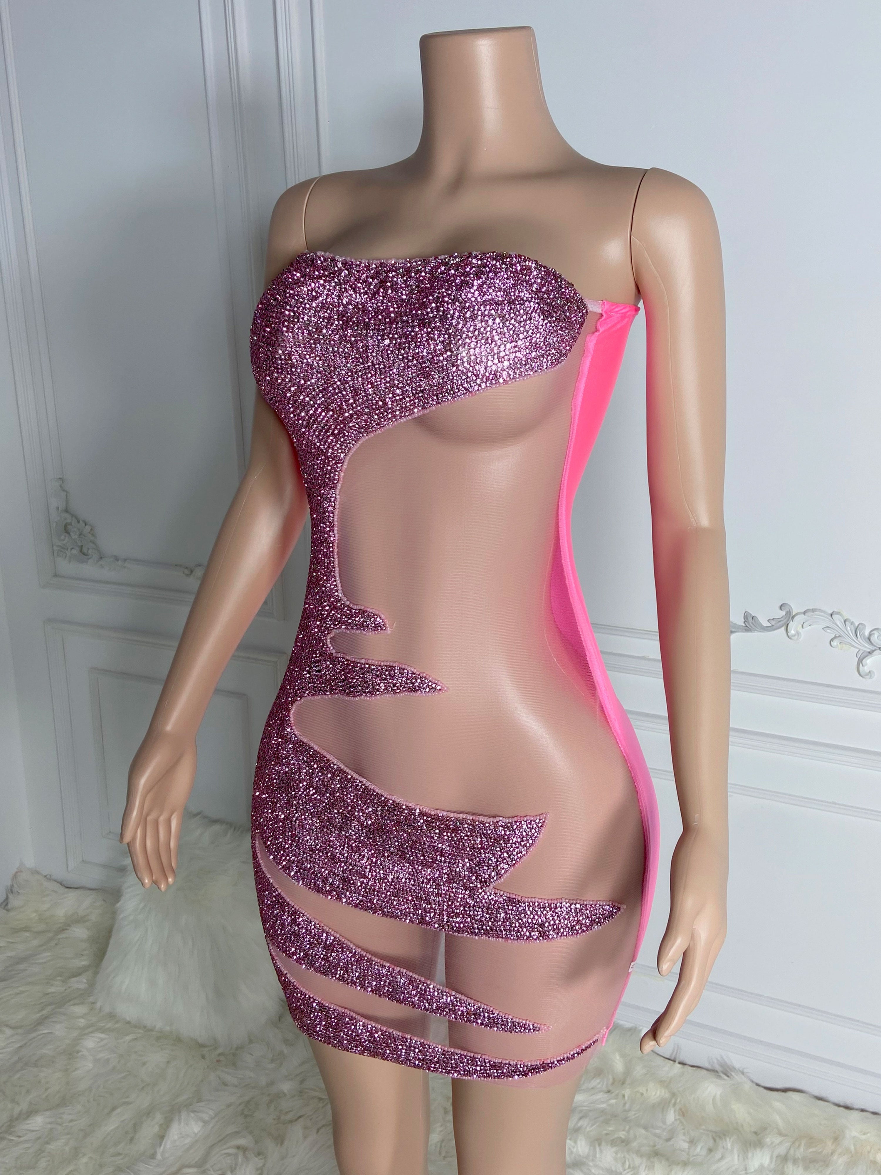 Pink Sheer Zippered Dress