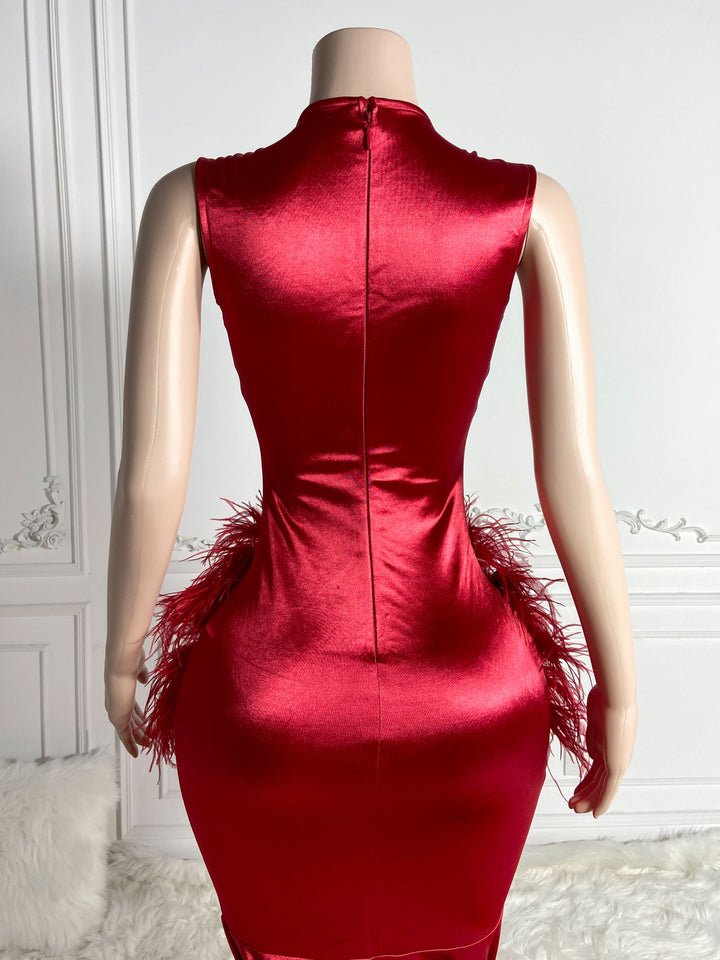 Red See-Through Gown