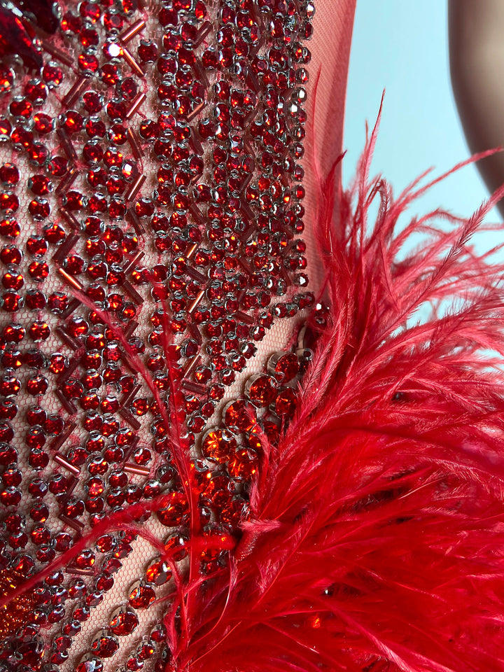 Red See-Through Gown