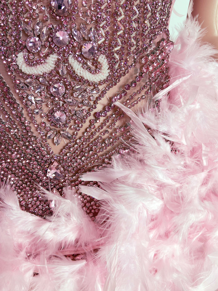 Feathered Pink Dress